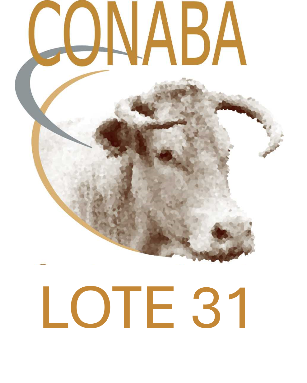 LOTE 31