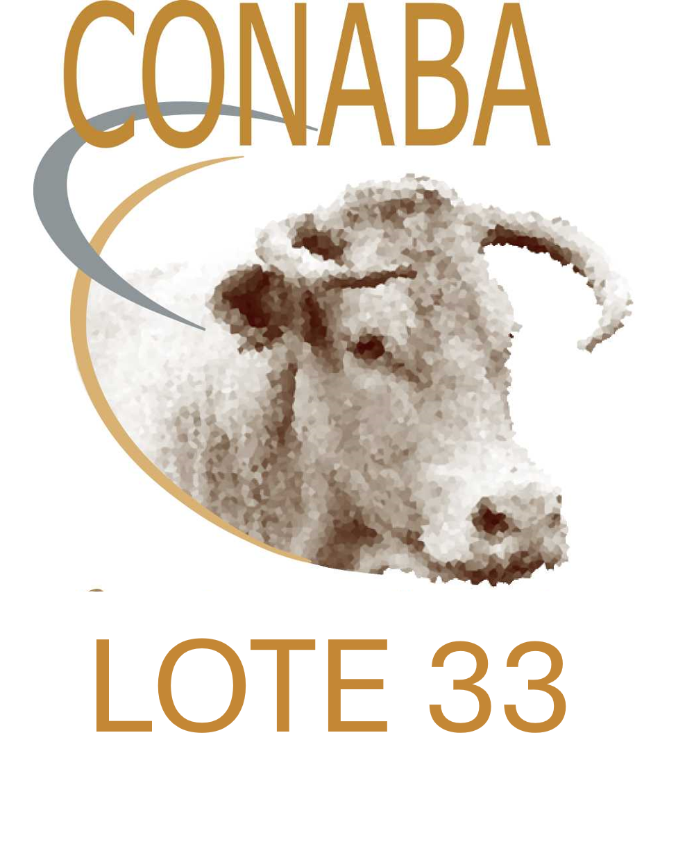 LOTE 33