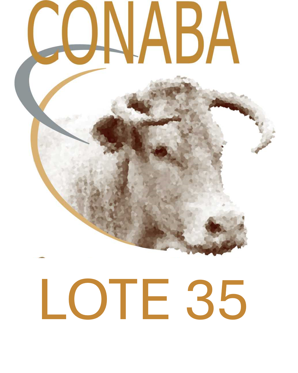 LOTE 35