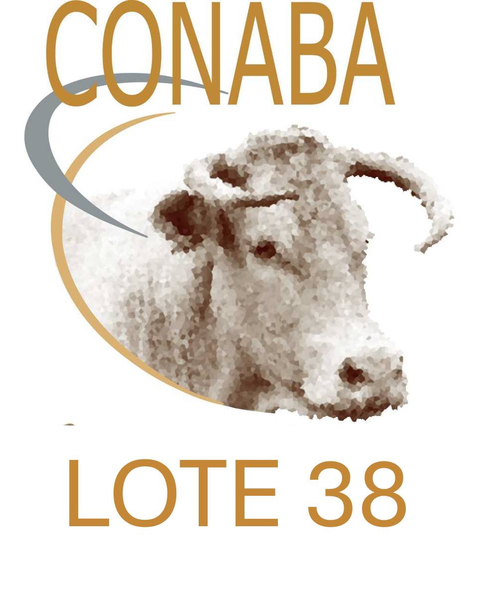 LOTE 38