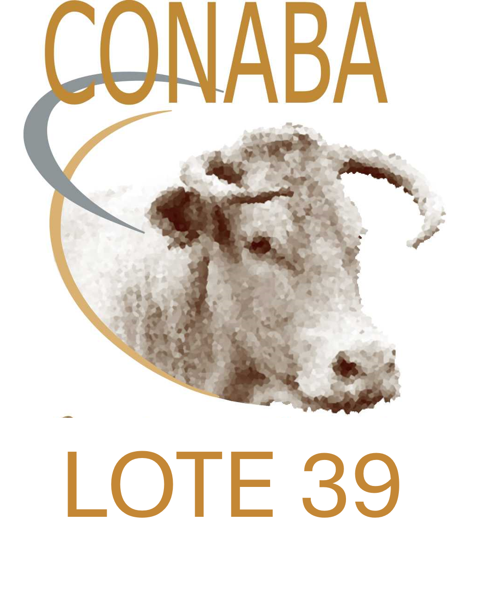 LOTE 39