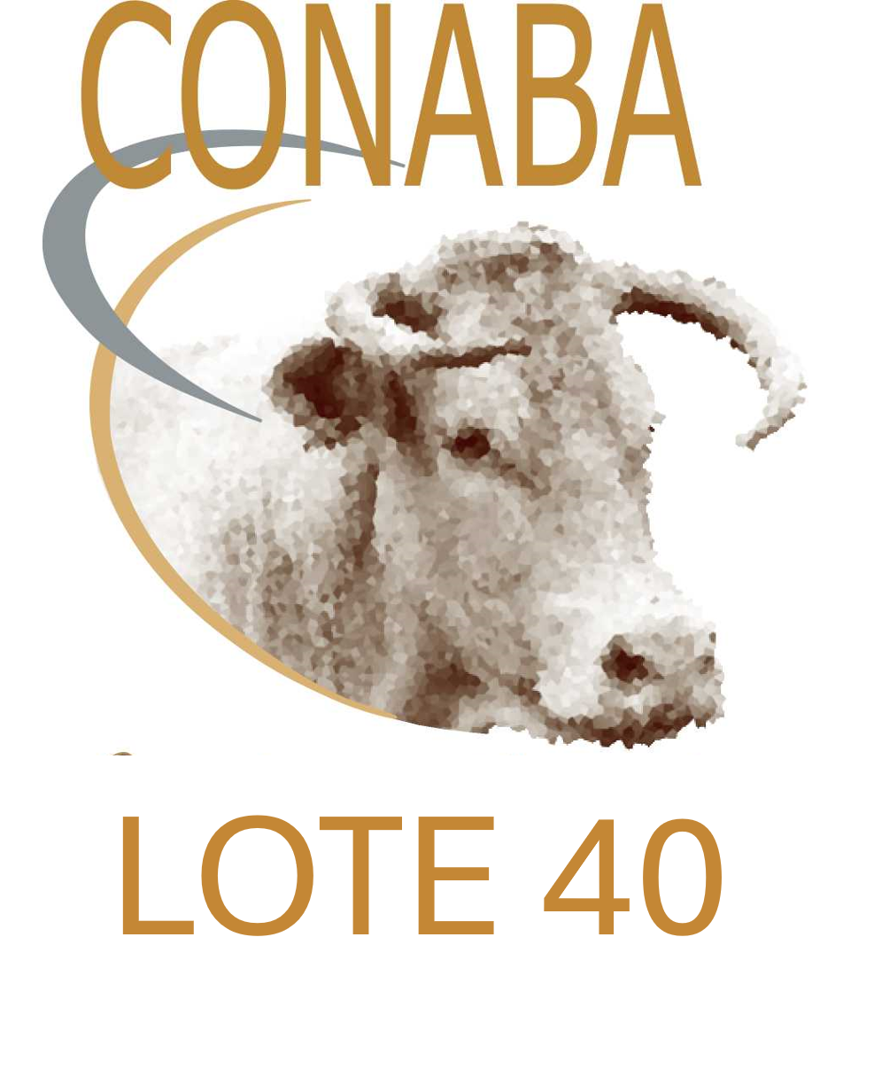 LOTE 40