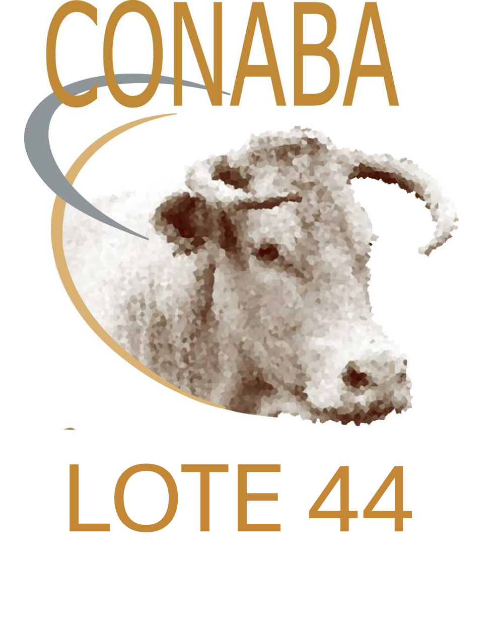 LOTE 44
