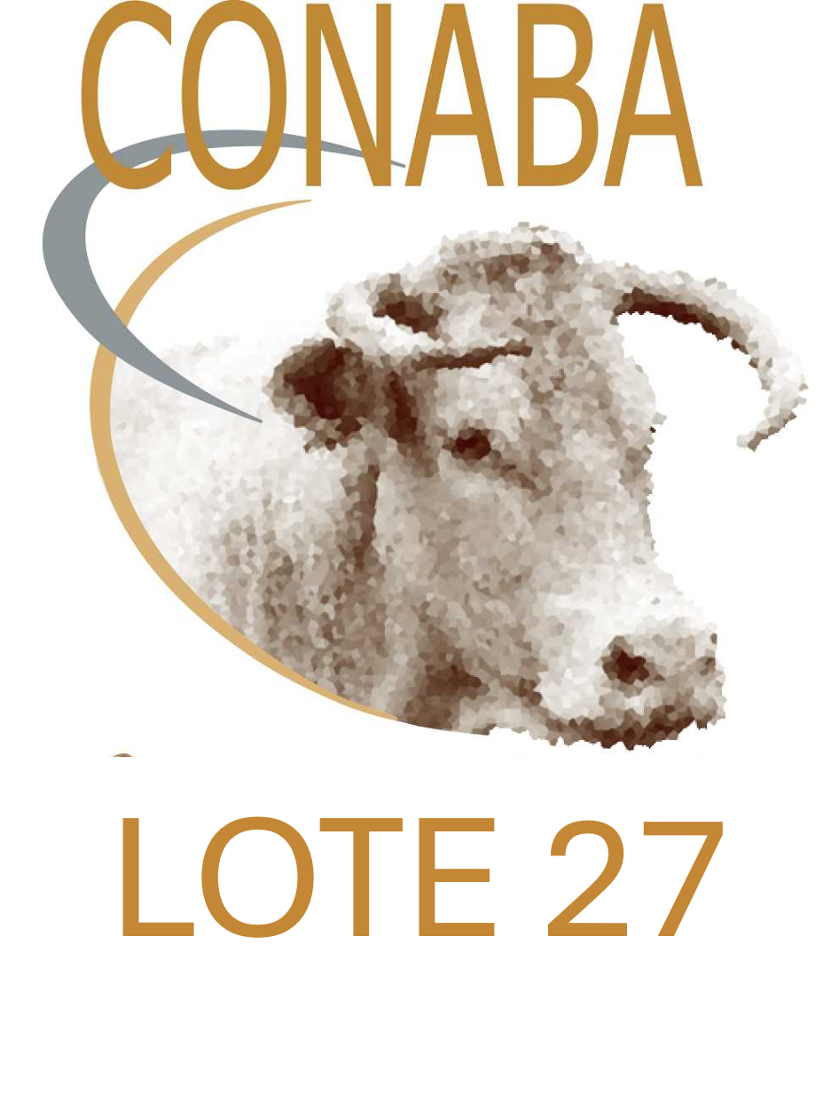 LOTE 27