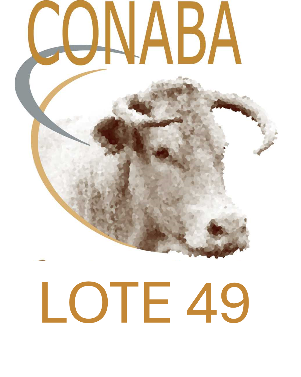LOTE 49